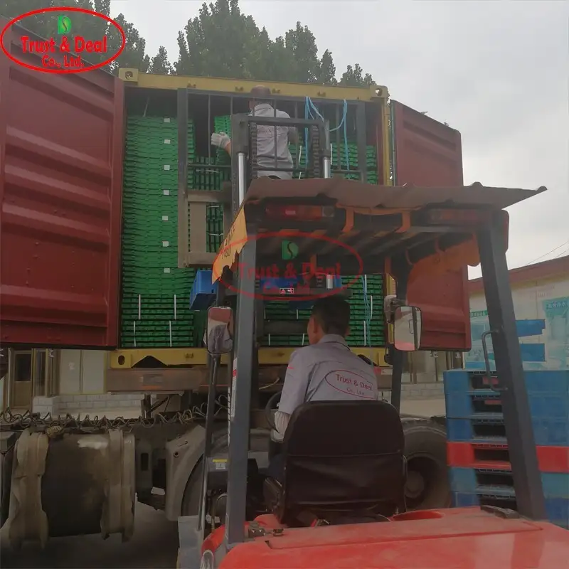 Trust&Deal Breeding Equipment slatted floor customized for farm2 4