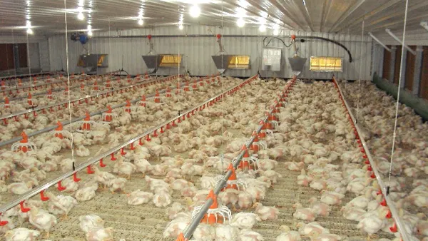 Trust&Deal Breeding Equipment Array image21