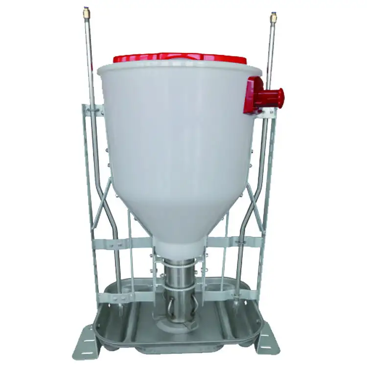 stainless steel pan automatic swine farm dry wet feeder 1