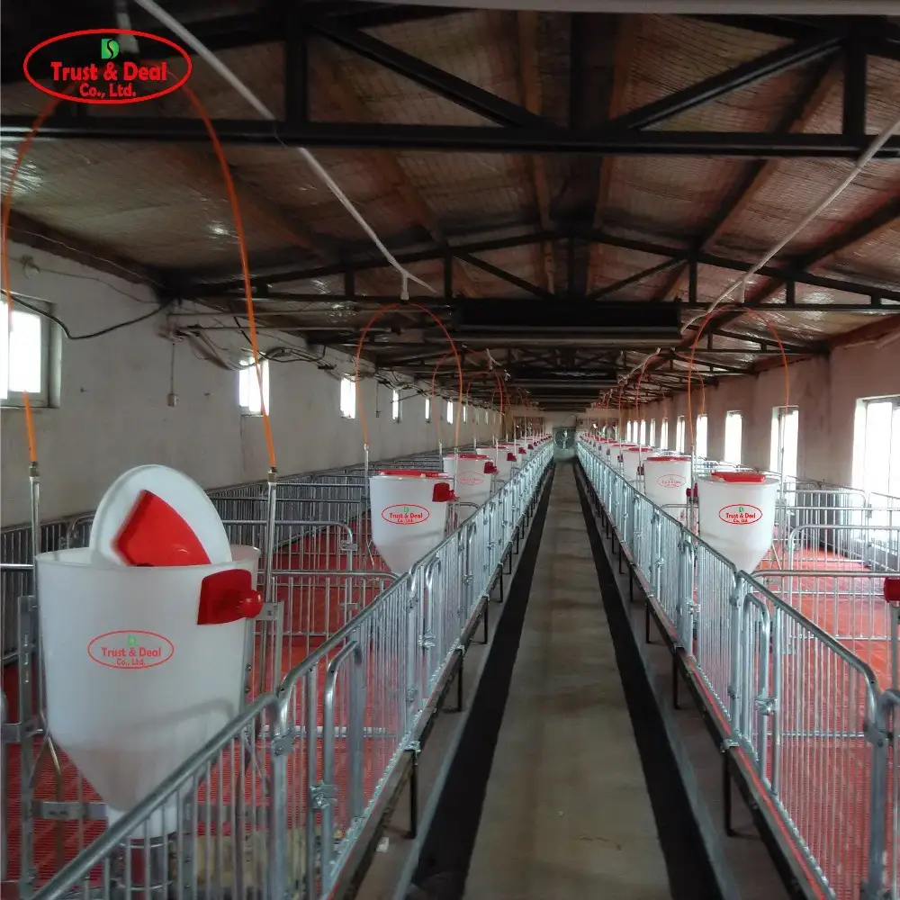 automatic pig feeder wet dry feeder for pig farm equipment 1