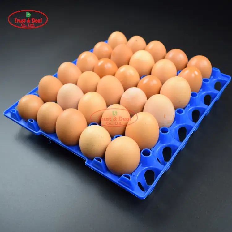 pure plastic egg tray for egg breeding farm and breeder breeding farm 1