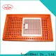 cost-effective chicken crates for sale factory for livestock farm1 1