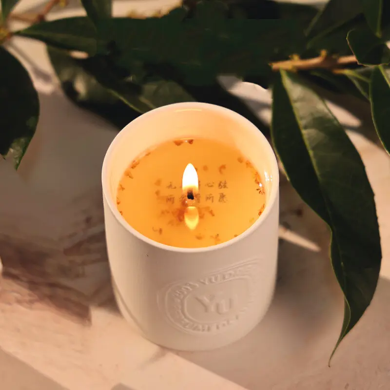 Professional Ceramic Candle Vessels OEM for Home 5