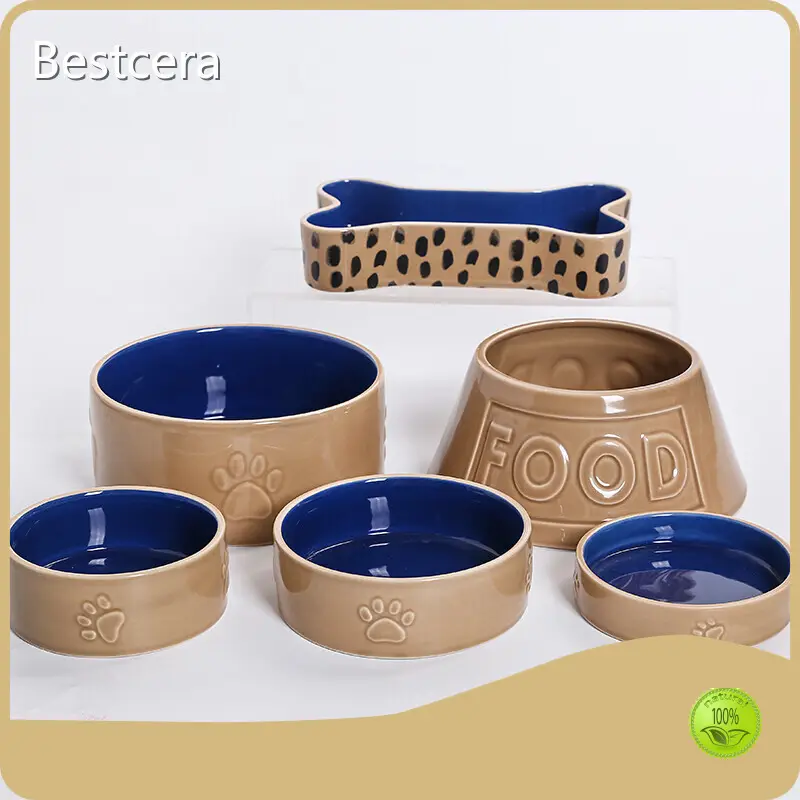 Products Raised Ceramic Cat Bowl on Sale 1
