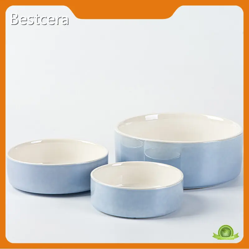 Bestcera Ceramic Slow Feeder Dog Bowl Ceramic Slow Feeder Dog Bowl at Discount 1