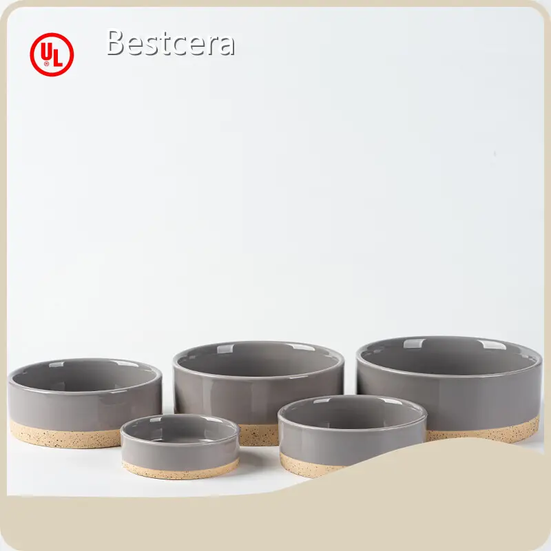 Bestcera Ceramic Dog Bowls Supplier 1