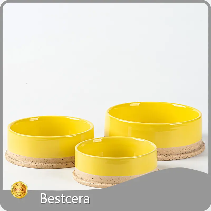 For Workplace Personalized Ceramic Dog Bowls by Bestcera 1