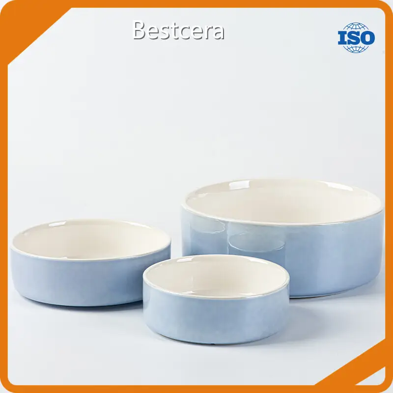 Creative Large Ceramic Dog Bowls with Custom Services at Sale 1