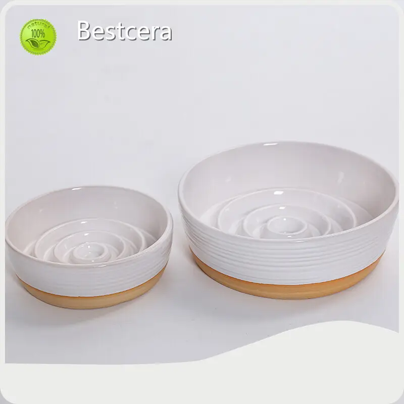 Ceramic Pet Bowl Ceramic Slow Feeder Dog Bowl for House on Sale 1