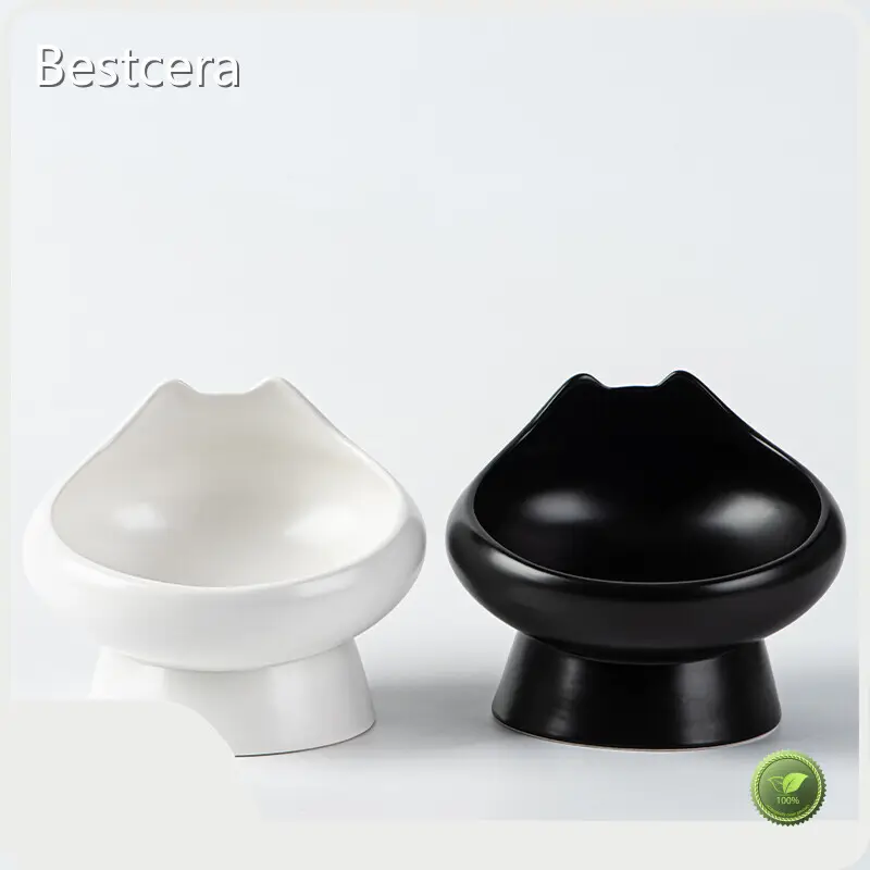 Ceramic Dog Bowls - for Business - Bestcera 1