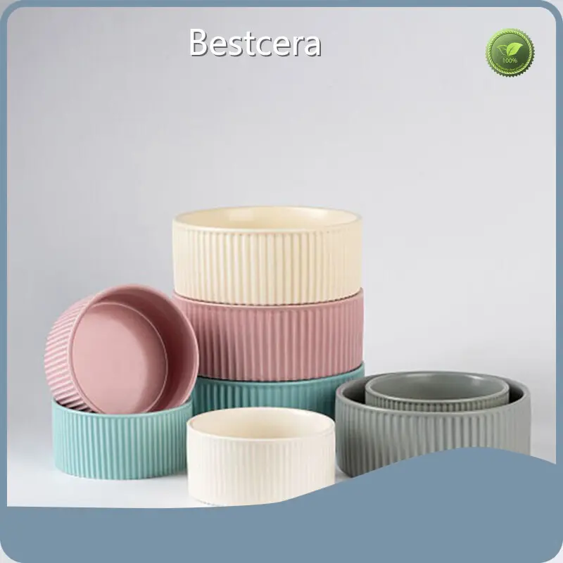 Ceramic Dog Water Bowl - for Home - Bestcera 1