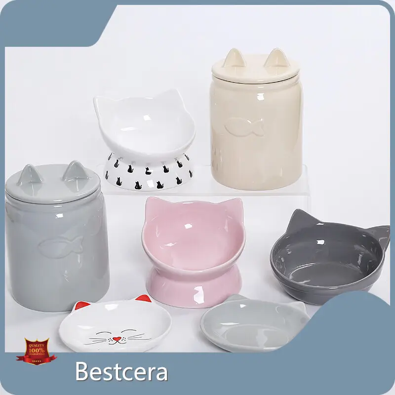 Best Value Personalized Ceramic Dog Bowls for Sale 1