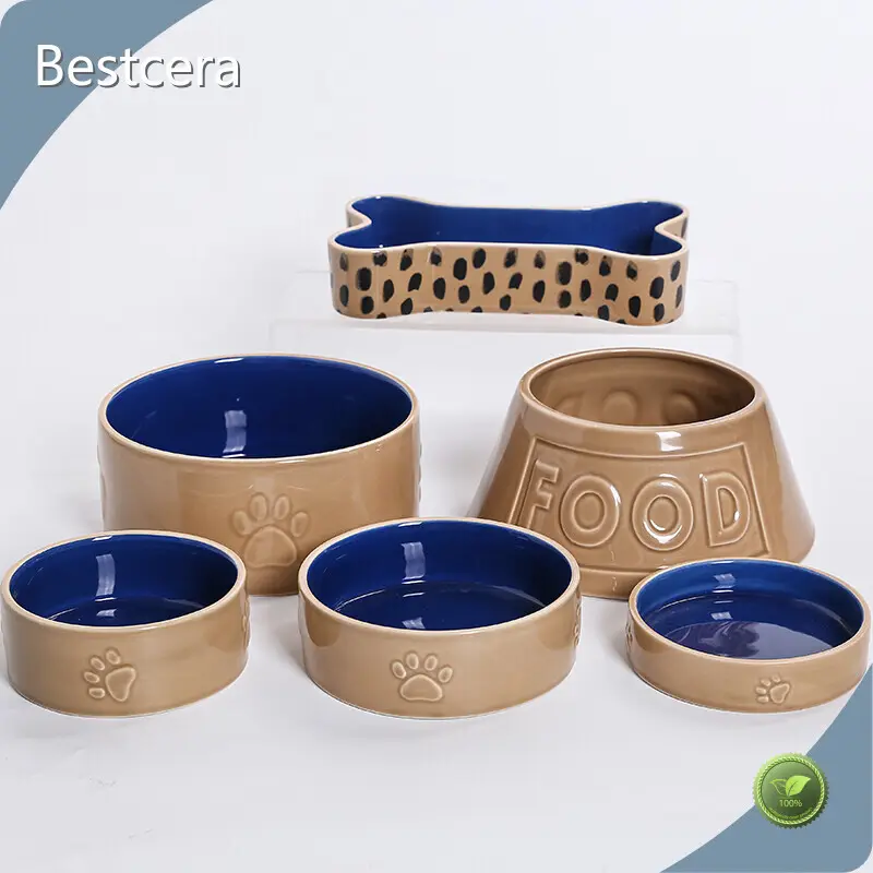 Products Raised Ceramic Cat Bowl with Good Price 1