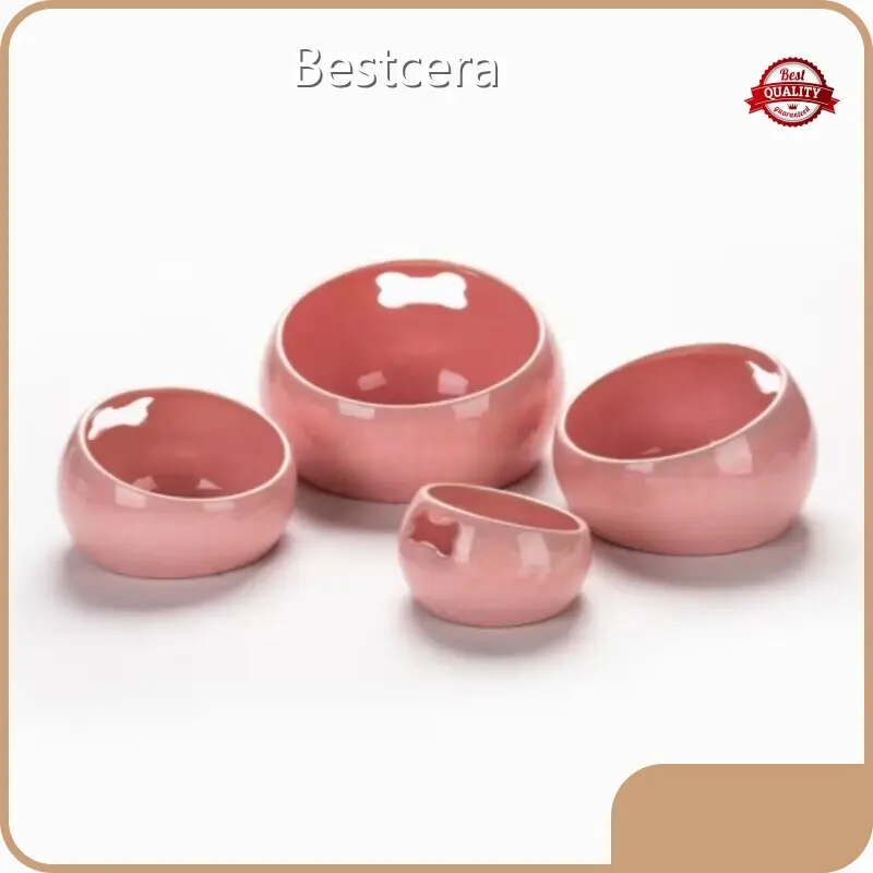 Factory Price Ceramic Bowl Cat Personalized for Workplace 1