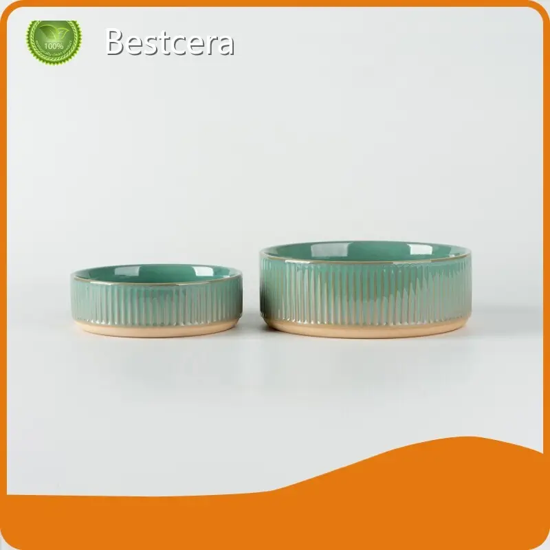 Products Ceramic Dog Water Bowl at Sale Inquire Now 1