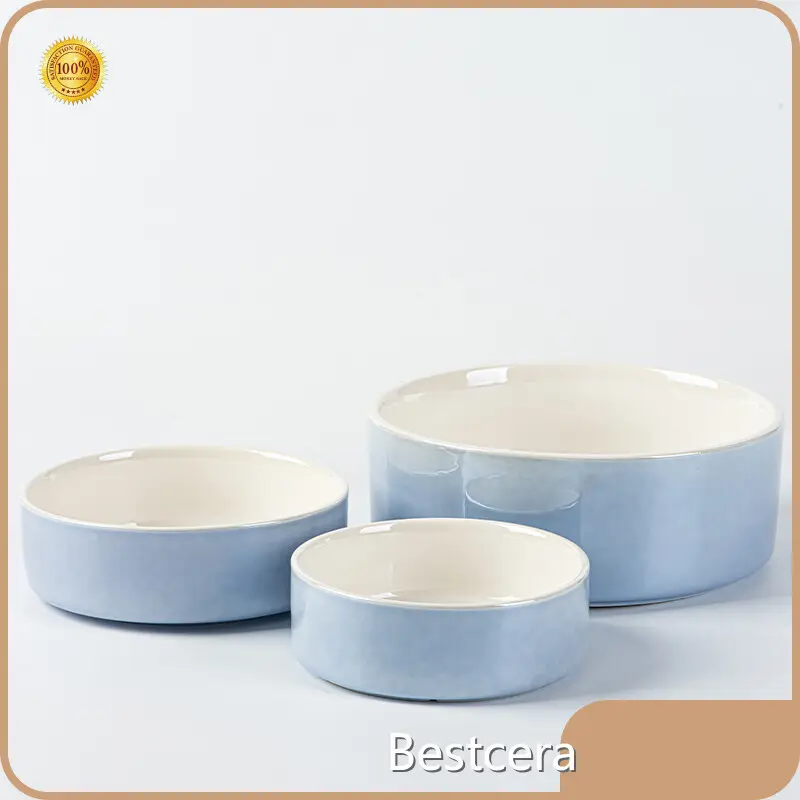 Top Large Ceramic Dog Bowls Company 1