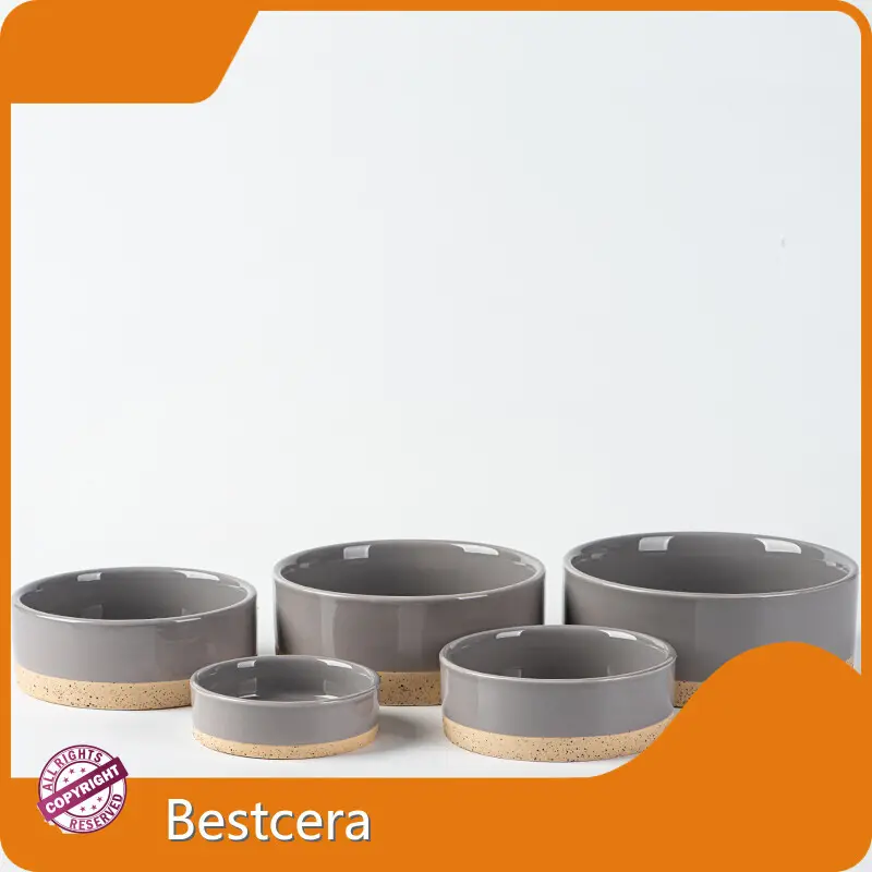 For House Ceramic Cat Bowl by Bestcera 1