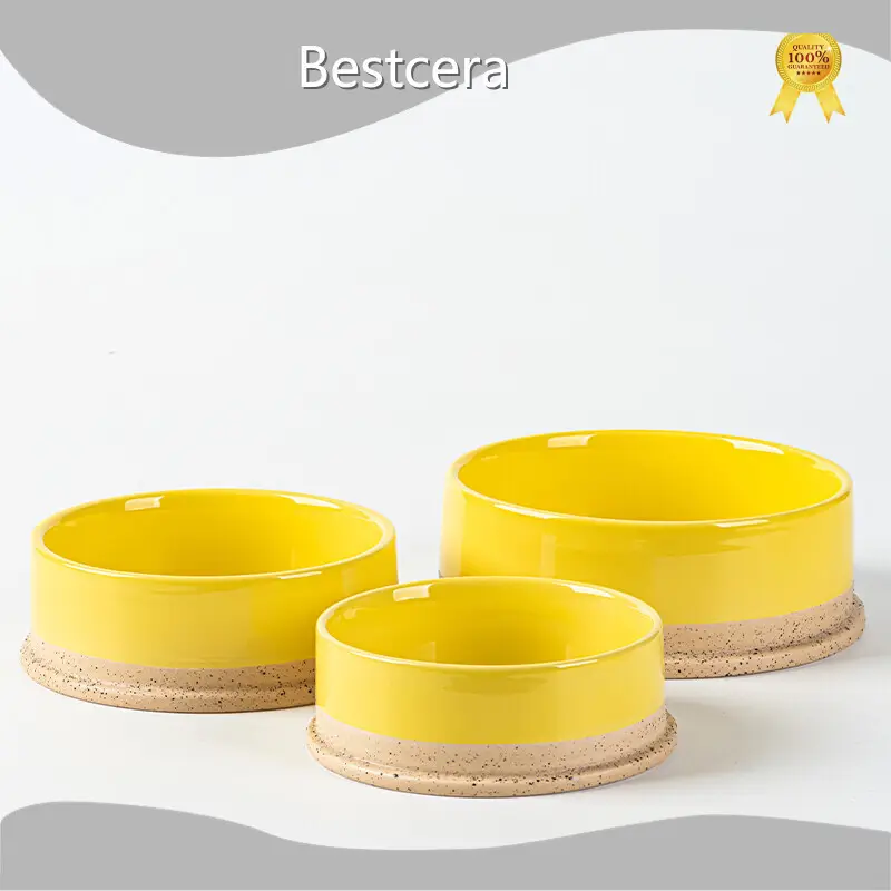 Worldwide Elevated Ceramic Cat Bowls for Home 1