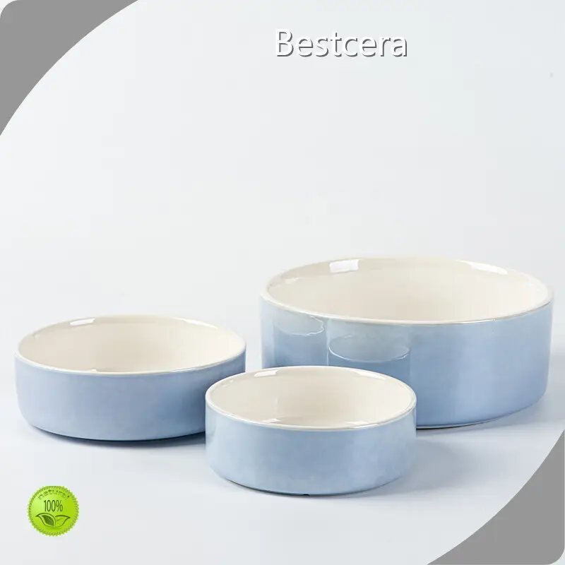 Reliable Ceramic Dog Water Bowl at Sale 1