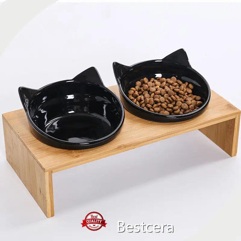 At Sale Elevated Ceramic Cat Bowls by Bestcera 1