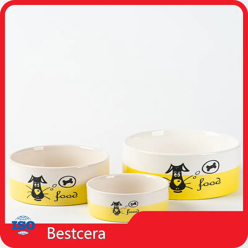 Durable Large Ceramic Dog Bowls for Wholesale 1