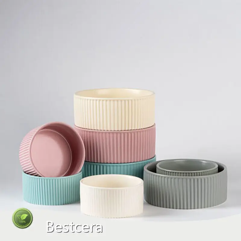 Hot Sale Ceramic Bowls for Cats for Different Industries 1
