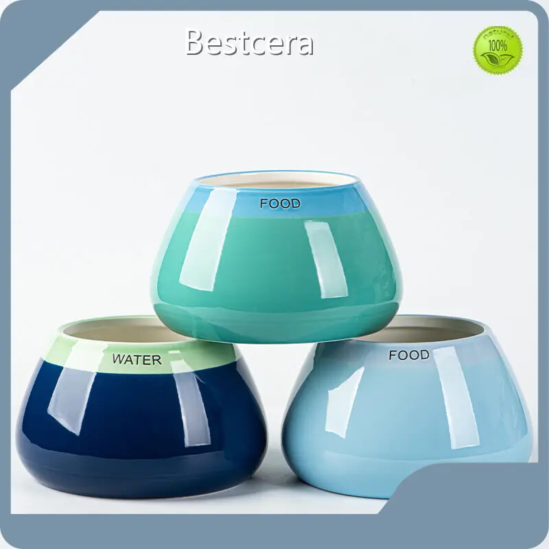 Ceramic Pet Bowl Ceramic Bowl Cat for Business Company 1