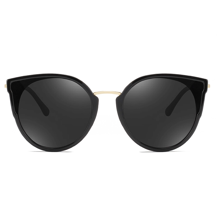 EUGENIA Fashion design logo printed oversized frame eye glasses branded sunglasses 1
