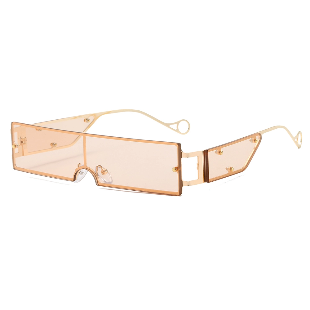 EUGENIA One Piece Square Small Lens Metal Steampunk Women Sunglasses 1
