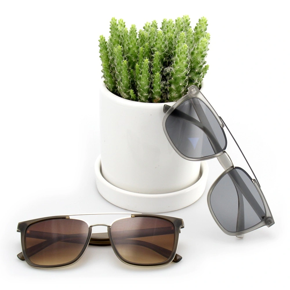 unisex glasses factory for gift 2
