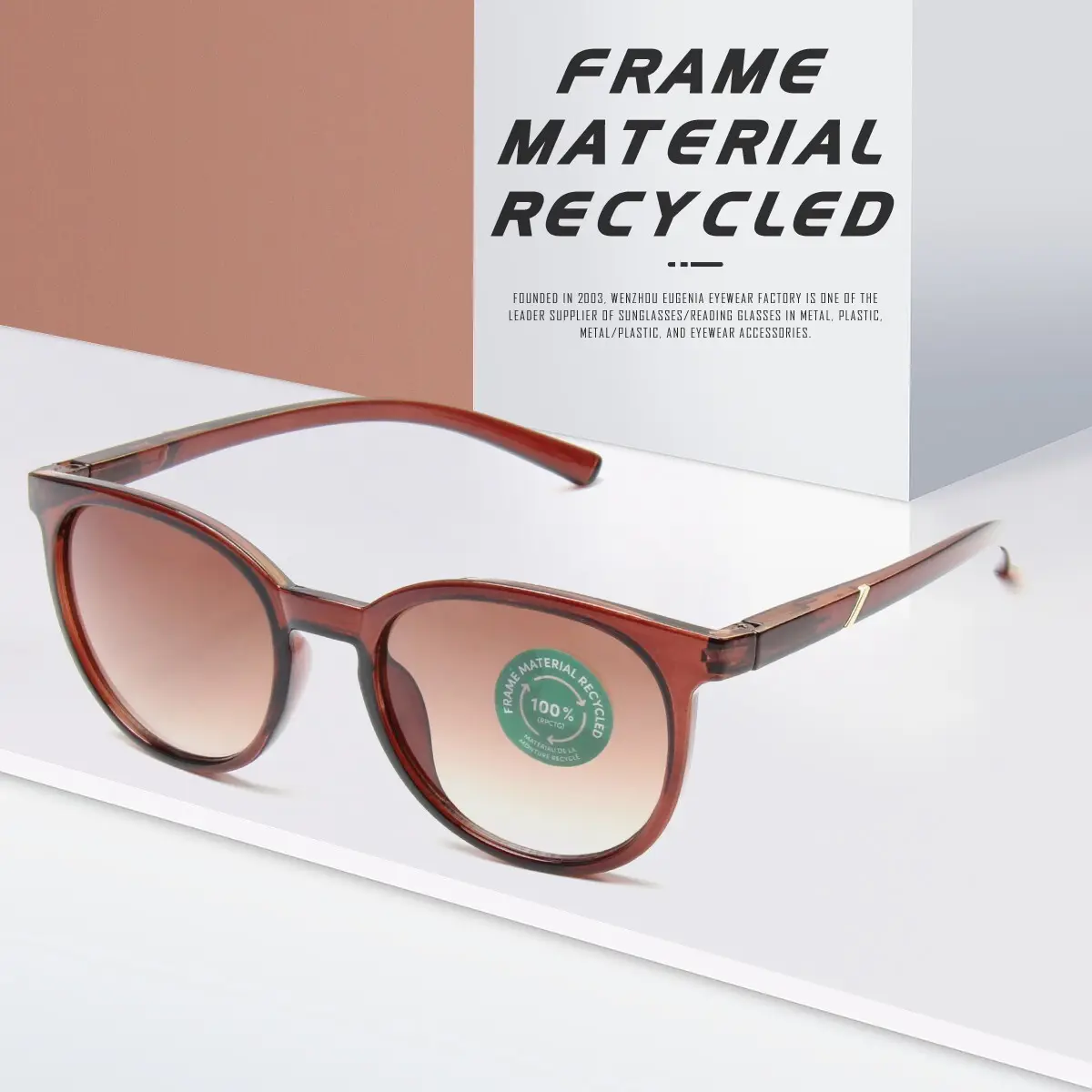 Eugenia worldwide recycled sunglasses wholesale for Eye Protection 2