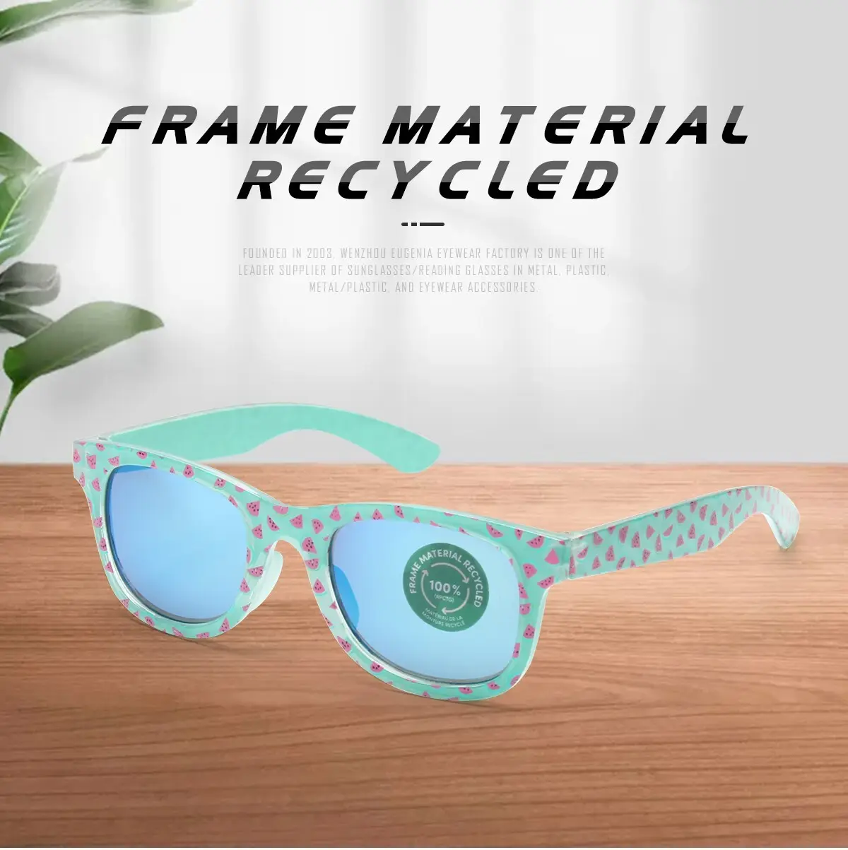 Eugenia recycled sunglasses wholesale overseas market for recycle 2