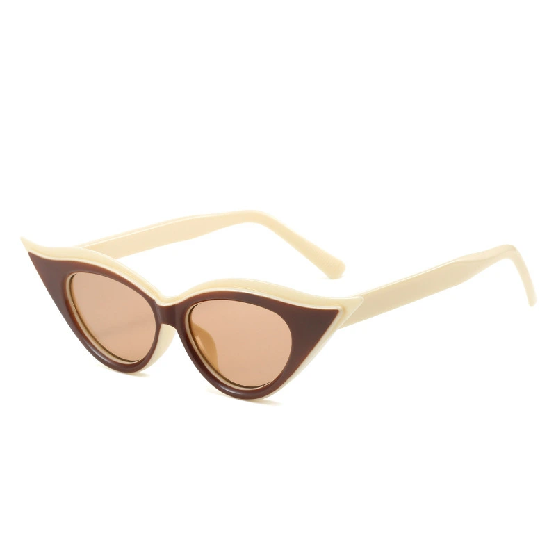 S27002 Retro Spectacles Fashion Gafas De Sol Cat Eye Shades Custom Designer Sunglasses 1