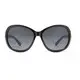 Eugenia Eyewear New Sunglasses New Sunglasses Distributor 2