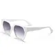 Brand Sunglasses Wholesale Unisex Sunglasses Wholesale - Eugenia Eyewear 8