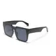 Colorful Sunglasses in Bulk Price List 3