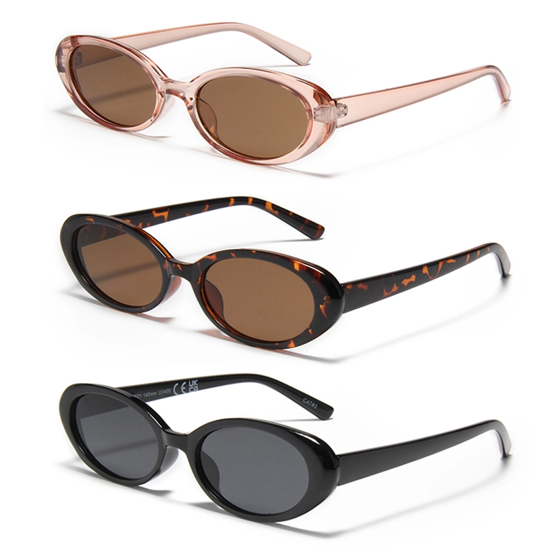 S66176 2025 Trending Hot Sale PC Glasses Custom Logo Vintage Shades UV400 Luxury Sunglasses Unisex 1