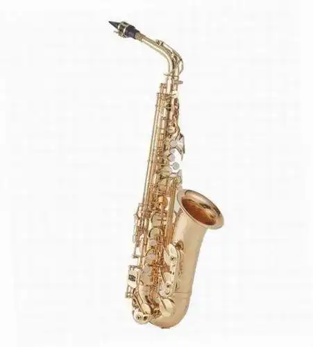Intermediate Alto Saxophone XAL2001 1