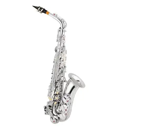 Cheap Alto Saxophone XAL1002 1