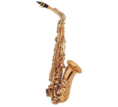 Intermediate Alto Saxophone XAL1004 1