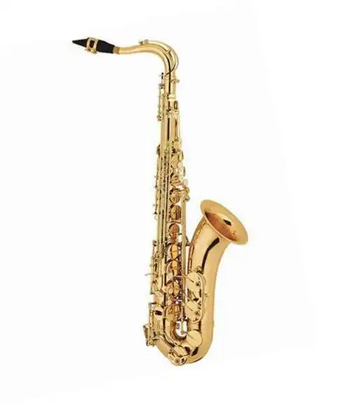 Standard Tenor Saxophone XTN1001 1