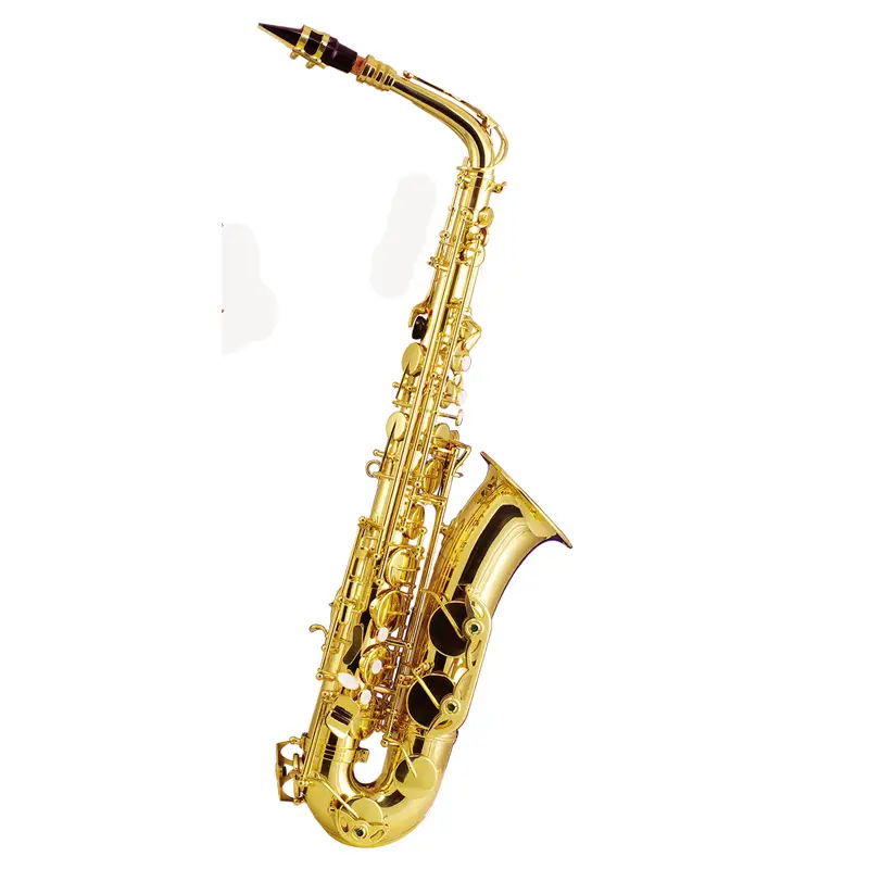 C Key Alto Saxophone XALC200 1