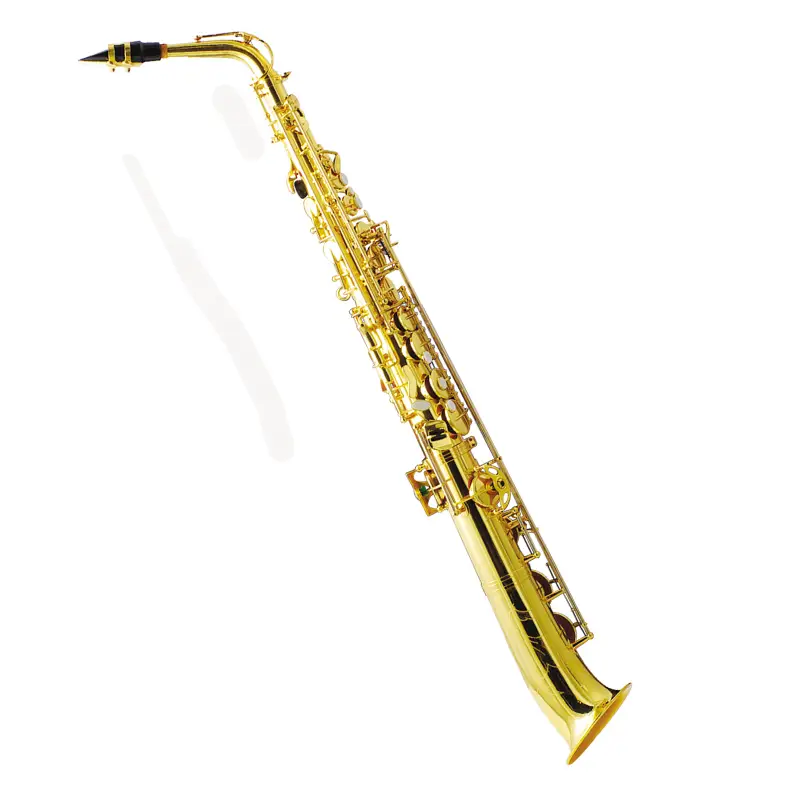Straight Alto Saxophone XAL3010 1