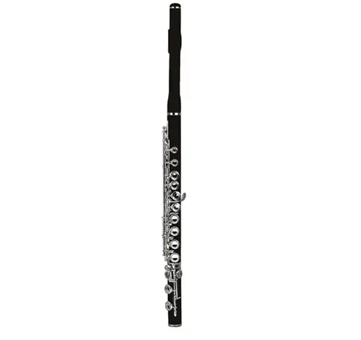 Ebony Flute XFL302 1