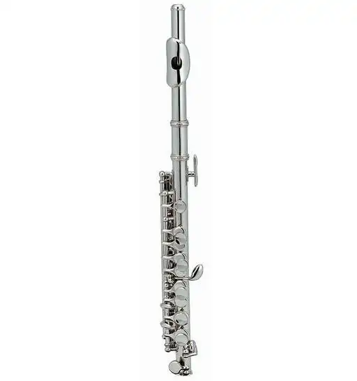 Piccolo woodwind instruments XPC001 1