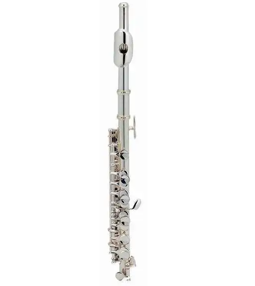 Piccolo instrument for sale XPC002 1