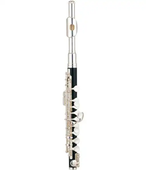 Bakelite Piccolo woodwind instruments XPC102 1