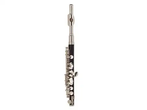 Ebony Piccolo XPC201 1