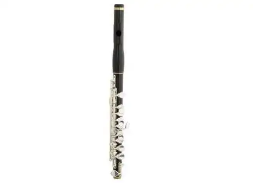 professional Ebony Piccolo XPC202 1