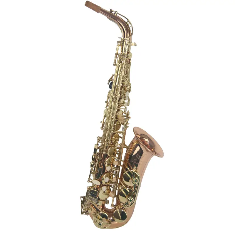 Professional Alto Saxophone XAL1018EX 1